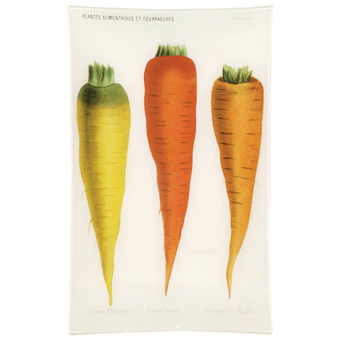 V Carottes de Flandre (vegetable) 10x16" Rectangle Tray