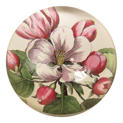 Beach Rose Dome Paperweight