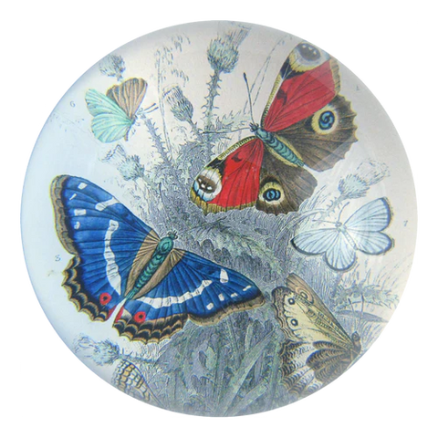 Butterflies Dome Paperweight
