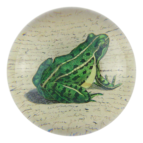Frog Prince Dome Paperweight
