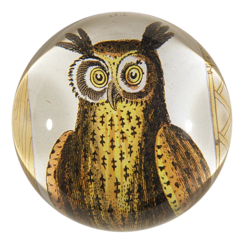 Owl Dome Paperweight
