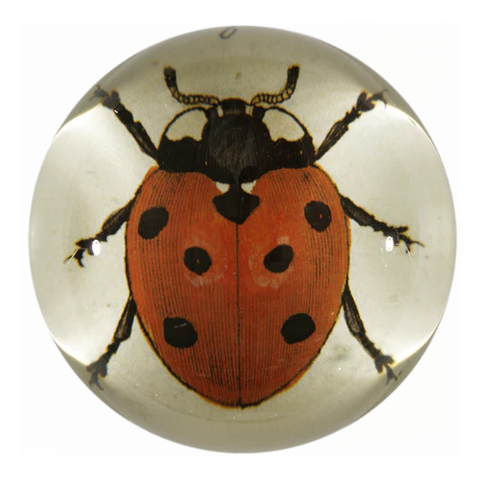 Red Ladybug Dome Paperweight