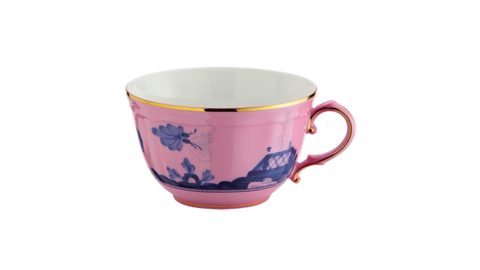 Ginori 1735 Tea Cup & Saucer Azalea