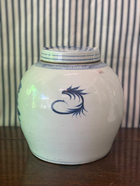 29cmH Blue & White Ginger Jar
