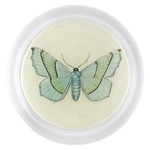 Margaritaria (Butterfly) 6" Coaster