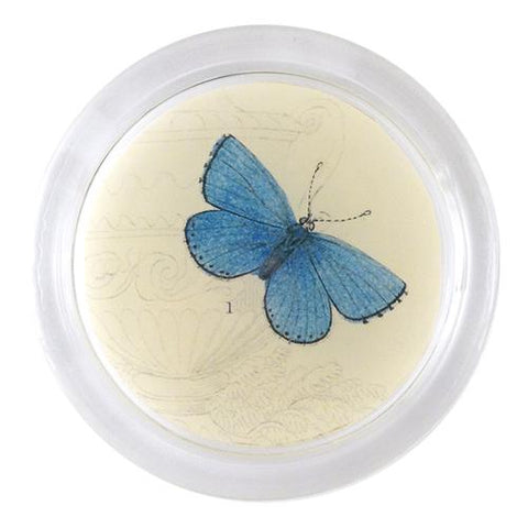 Adonis (Male Butterfly) 4" Coaster