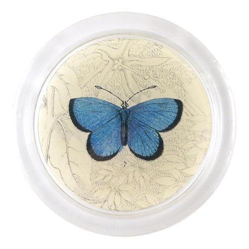 Argus Butterfly 4" Coaster