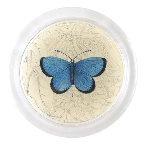 Argus Butterfly 4" Coaster