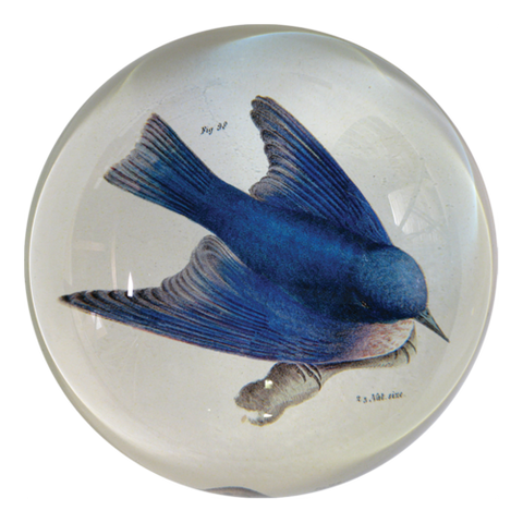 Bluebird Dome Paperweight