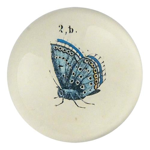 Butterfly Dome Paperweight