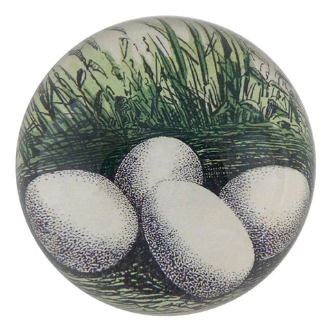Quail Eggs Dome Paperweight