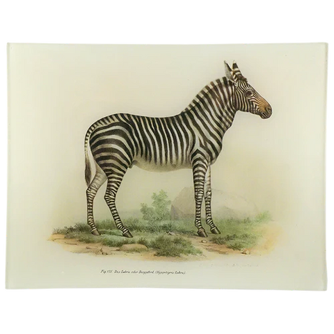 Zebra 8" x 10.5" Rectangle Tray
