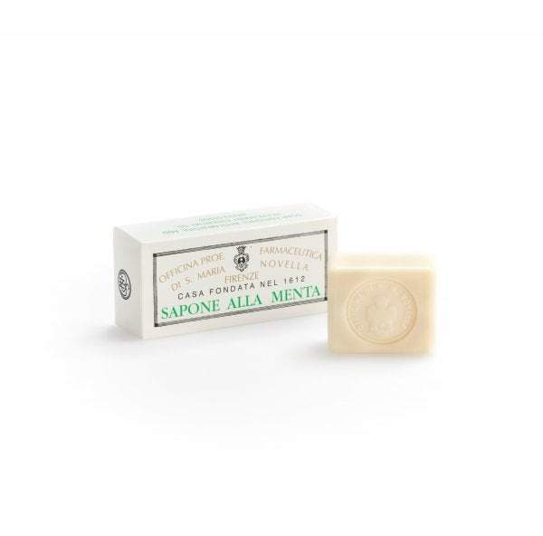 Mint Soap Box (2 x 50g)