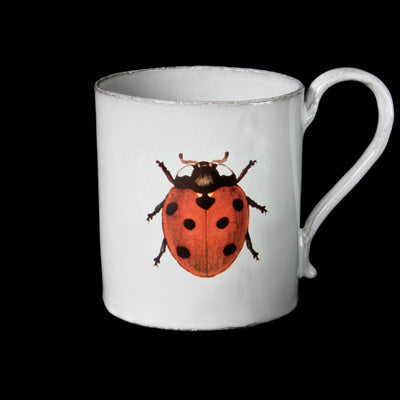 Astier x John Derian Ladybug Mug